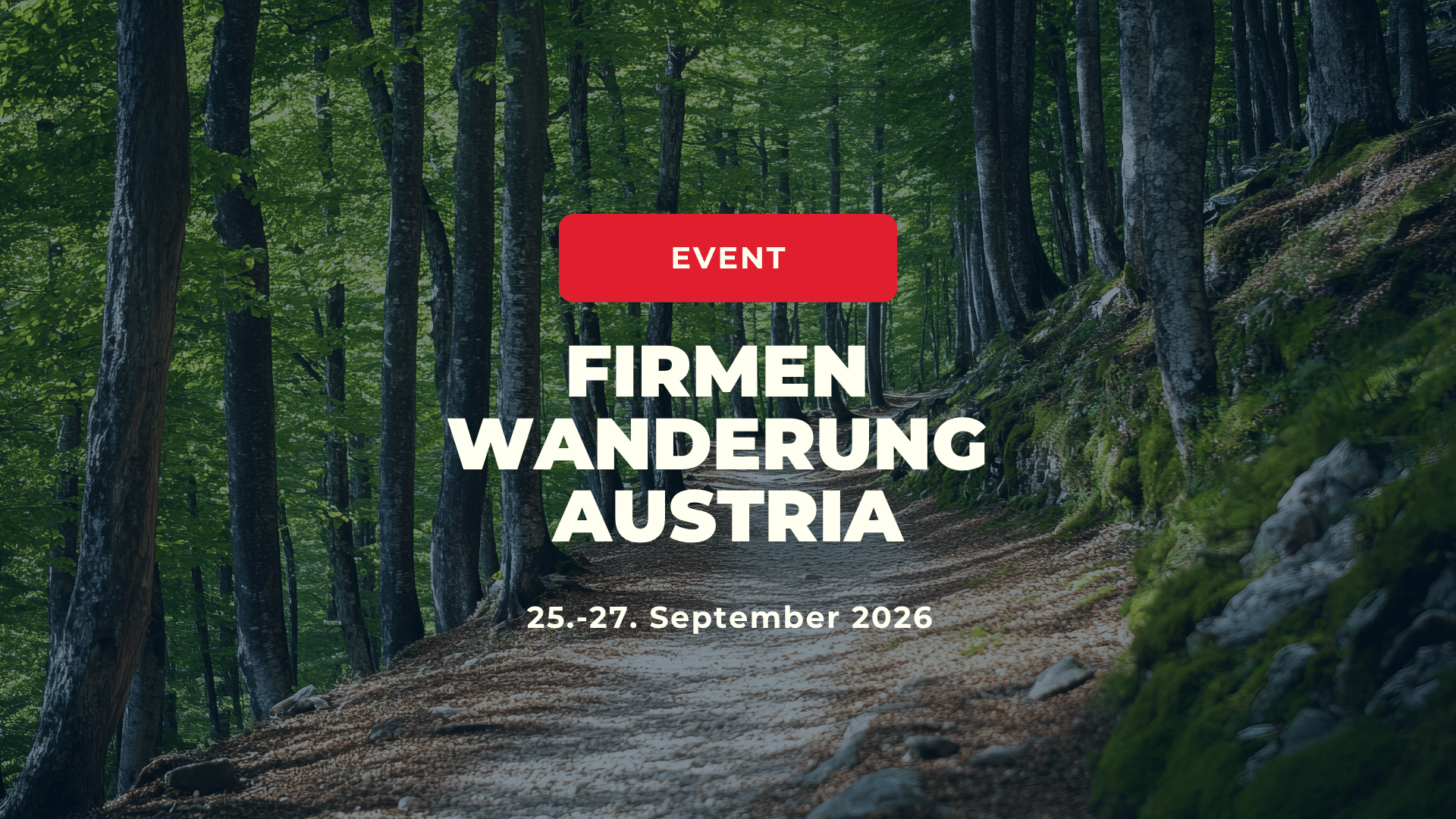 Firmenwanderung Österreich 2026 – Waldweg als Symbol für die österreichweite Firmenwanderung vom 25. bis 27. September 2026